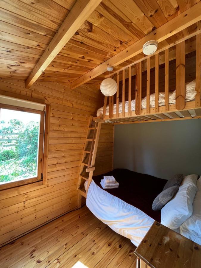 Ferienwohnung Red Robin Nest Galway Exterior foto